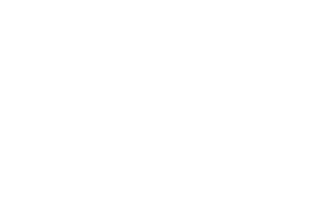 AAML | American Academy of Matrimonial Lawyers